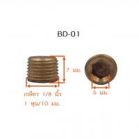 BD01 วัดไซต์